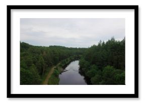 High angle view of river amidst trees