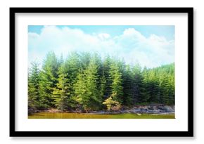 Trees growing by river against sky