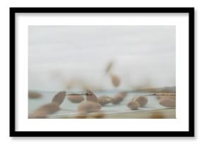 Featuring blurred seed heads swaying at sandy beach, framing calm sea and distant headlands