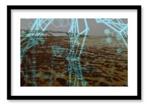 Displaying blue network lattice overlaying tidal flat by river, with hexagonal molecular overlays
