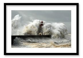 Windy Coast