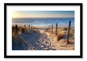 Fototapeta ścieżka do plaży nad Morzem Północnym w złotym słońcu