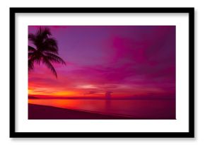 Tropical sunset with palm tree silhouette panorama
