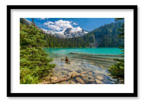 Majestic mountain lake in Canada. Upper Joffre Lake Trail View.