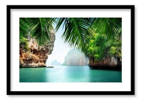 tropical sea and rocks