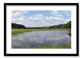 Pond in Mississippi in May