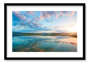 birds silhouettes flying above the lake against sunset,