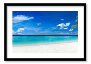 coco palm panorama super wide format on tropical paradise dream beach