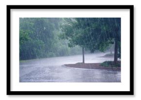 heavy rain and tree in the parking lot