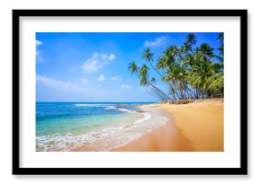 Untouched beautiful beach on the Indian Ocean