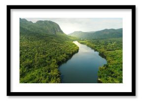 Aerial view of river in tropical green forest with mountains in background