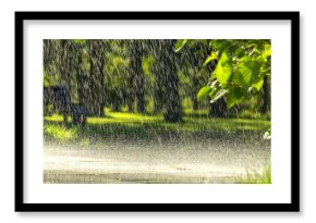 Drops of warm summer rain, falling on the asphalt