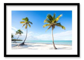 Coconut palm trees an pristine bounty beach