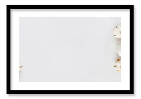 Flat lay with Natural organic cosmetics: tonic, cream on white background with cotton flowers. Skincare, cosmetology, dermatology concept. Beauty certificate, blog style. Top view, mockup, overhead