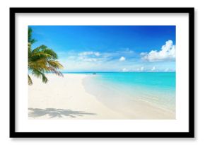 Piękny drzewko palmowe na tropikalnej wyspy plaży na tła niebieskim niebie z białymi chmurami i turkusowym oceanem na słonecznym dniu. Idealny naturalny krajobraz na letnie wakacje, ultra szeroki format.