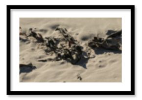 Close-up of sand on beach