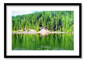 Idyllic shot of trees growing by river