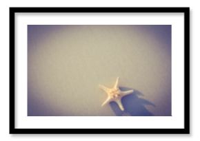 Overhead view of starfish on sand