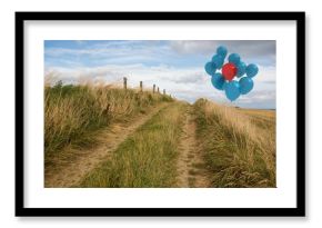 Balloons above sand dunes