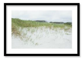 Coastal dunes are being shown in flat design, with white sand, grass, gray sky, shrubs