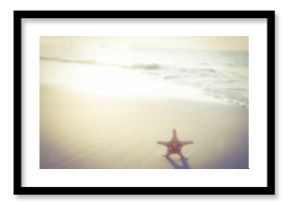 Starfish on sand against sunny sky
