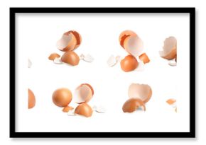 Eggs and cracked shells on white background, set