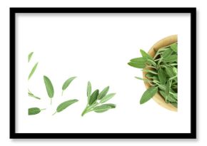 fresh sage herb in wooden bowl isolated on white background. Top view with copy space for your text. Flat lay