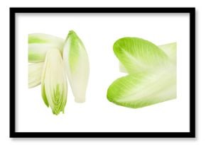 Chicory salad isolated on white background with  full depth of field. Top view. Flat lay
