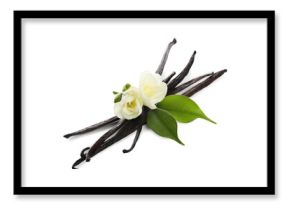 Vanilla pods, green leaves and flowers isolated on white