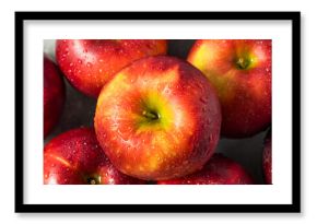 Organic Raw Cosmic Crisp Red Apples