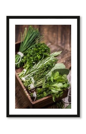 fresh aromatic herbs on kitchen table