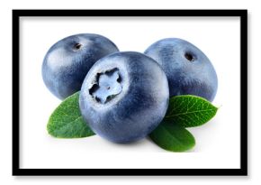 Blueberry isolated png. Blueberry with leaves on white or transparent background. Perfect retouched three blueberries with leaf no background. Png blueberry. Full depth of field.