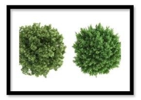 PNG Diverse vibrant tree top views, element set on transparent background