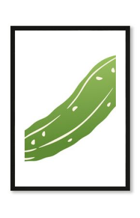 Green cucumber. Fresh pickle cucumber vegetable, organic farm food product, healthy vegetarian vegan diet nutrition, agriculture farm plant, salad cooking ingredient. Vector isolated illustration