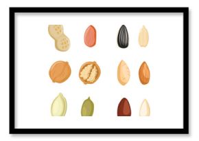 Nuts icon. Nuts icon set. Pistachio, Almond, Hazelnut, Cashew, Walnut. Vector Illustration. Cartoon seeds. Organic raw
