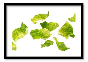 Falling chopped lettuce leaves isolated on white background