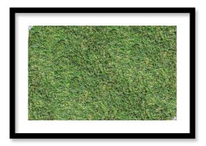 Summer picnic or BBQ food double border. Above view with blanket over a green lawn banner background. Hamburgers, hot dogs, salads, fruit and lemonade. Copy space.