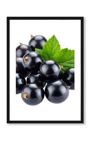 Ripe black currants with a green leaf isolated on a white background