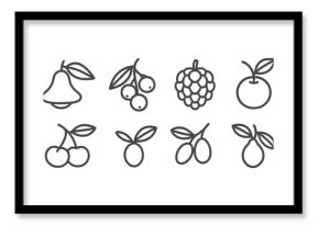 Fruit outline icon set. pear, berry, cherry, grapes, citrus icons collection