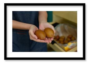 Closeup woman hands holding two ripe kiwi fruits in front of shelf filled with more tropical produce inside fruit store, showing texture and freshness of brown fuzzy skin in natural light.