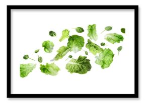 Fresh lettuce and spinach leaves flying against white background