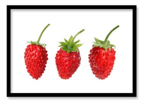 Fresh ripe wild strawberries isolated on white, set