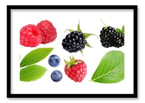 Various berries and green leaves isolated on white, set