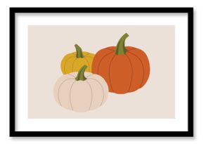 Three pumpkins in different colors with green stems, simple seasonal vegetable symbol of autumn harvest and Halloween decoration. Flat vector illustration