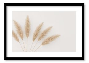 Neutral-toned abstract pattern featuring beige reeds on a white backdrop. Sleek and modern natural design.