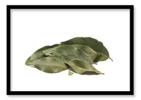 Dried bay leaves isolated on white background, side view 