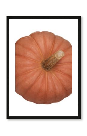Orange pumpkin isolated on transparent background. Fresh vegetable, squash. Natural graphic object. Fall, Halloween and Thanksgiving food concept. Flatlay, top view. Garden harvest, crop