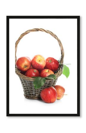 Fresh apples in wicker basket and green leaves isolated on white