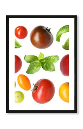 Different fresh tomatoes and green basil isolated on white, set
