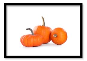 Different whole ripe pumpkins isolated on white